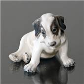 Titel: Puppy, Terrier Dahl Jensen DJ1008