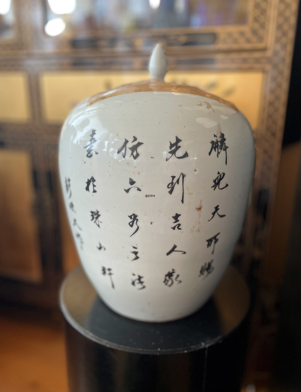 Kinesisk semiantik bojan