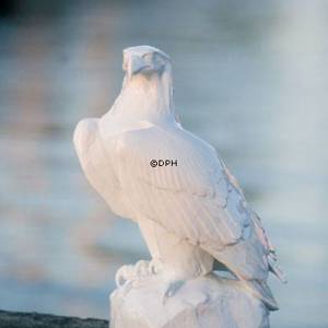 Hvid kongeørn, Royal Copenhagen fugle figur | Nr. 2590123 | DPH Trading