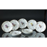 Royal Copenhagen Full Saxon Flower set of 8 pcs. flat plates Ø 20cm