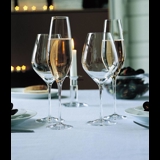 Holmegaard Cabernet champagne glass, capacity 29 cl., 6 pcs.