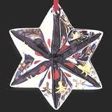 Årets glasstjerne 2003, Julekaktus