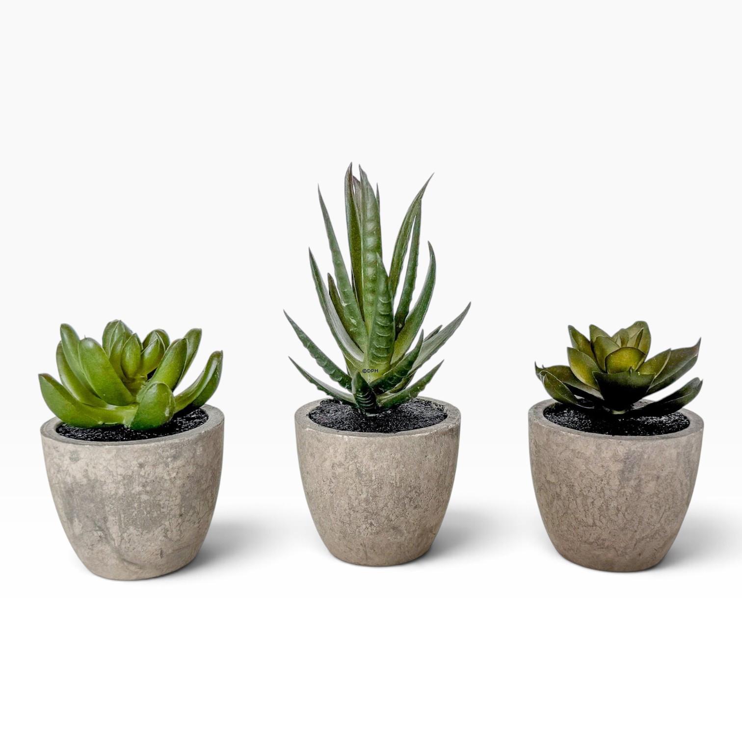 Lille grøn plante med potte, Ø: 6 cm (sælges assorteret)