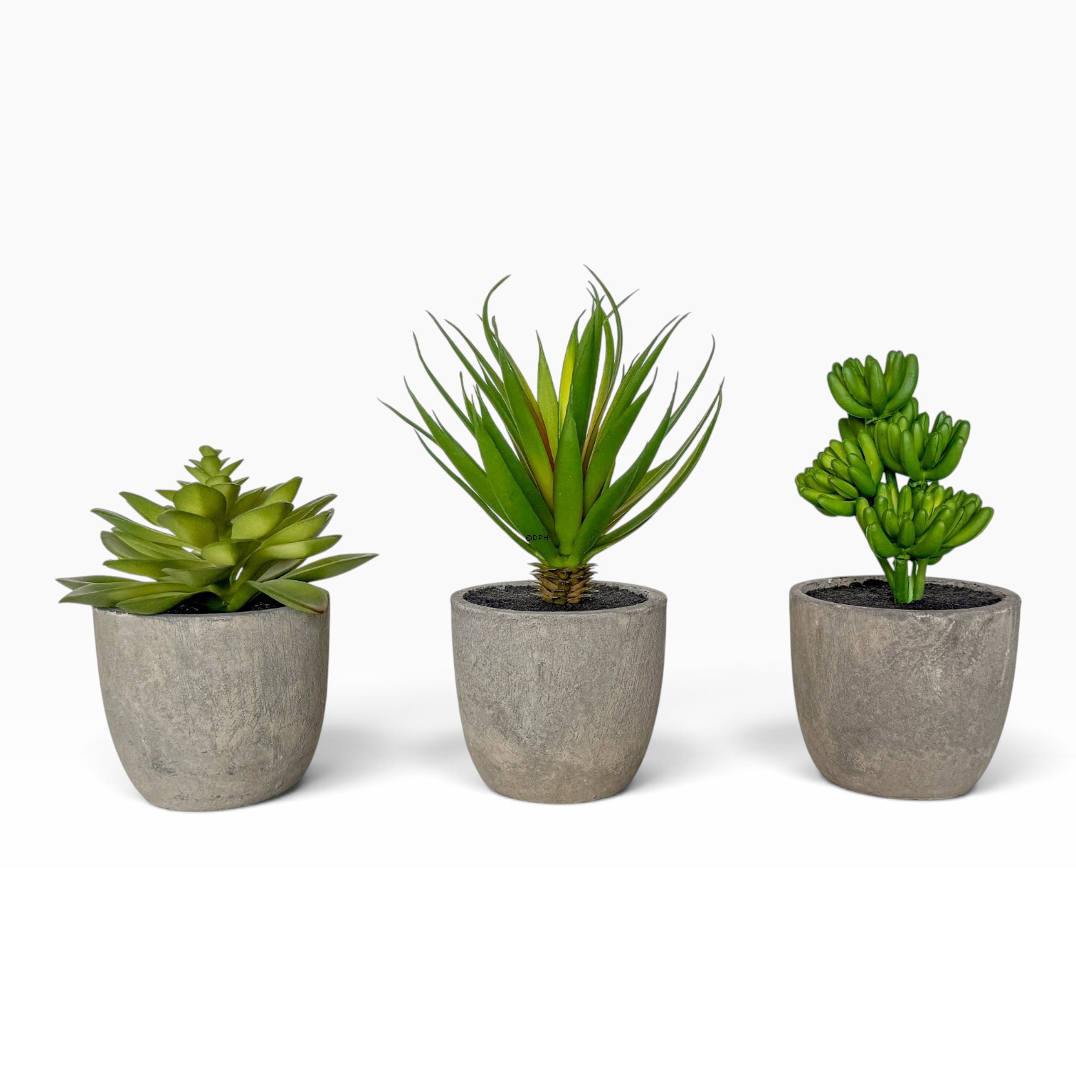 Større grøn plante med potte, Ø: 9 cm (sælges assorteret)