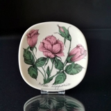 Arabia World Wildlife Fund plaquette med Rosa Lapponia