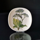Arabia World Wildlife Fund plaquette med Limonium Arborescens