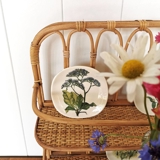 Arabia World Wildlife Fund plaquette med Limonium Arborescens