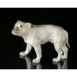 Stor hvid Bulldog, Bing & Grøndahl hundefigur nr. 1605