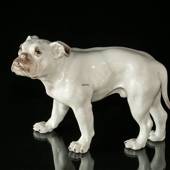 Stor hvid Bulldog, Bing & Grøndahl hundefigur