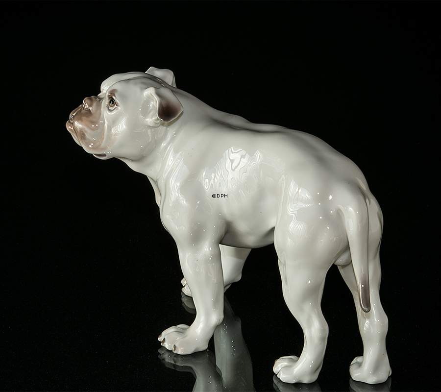 Stor hvid Bulldog, Bing & Grøndahl hundefigur nr. 1605