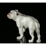 Stor hvid Bulldog, Bing & Grøndahl hundefigur nr. 1605