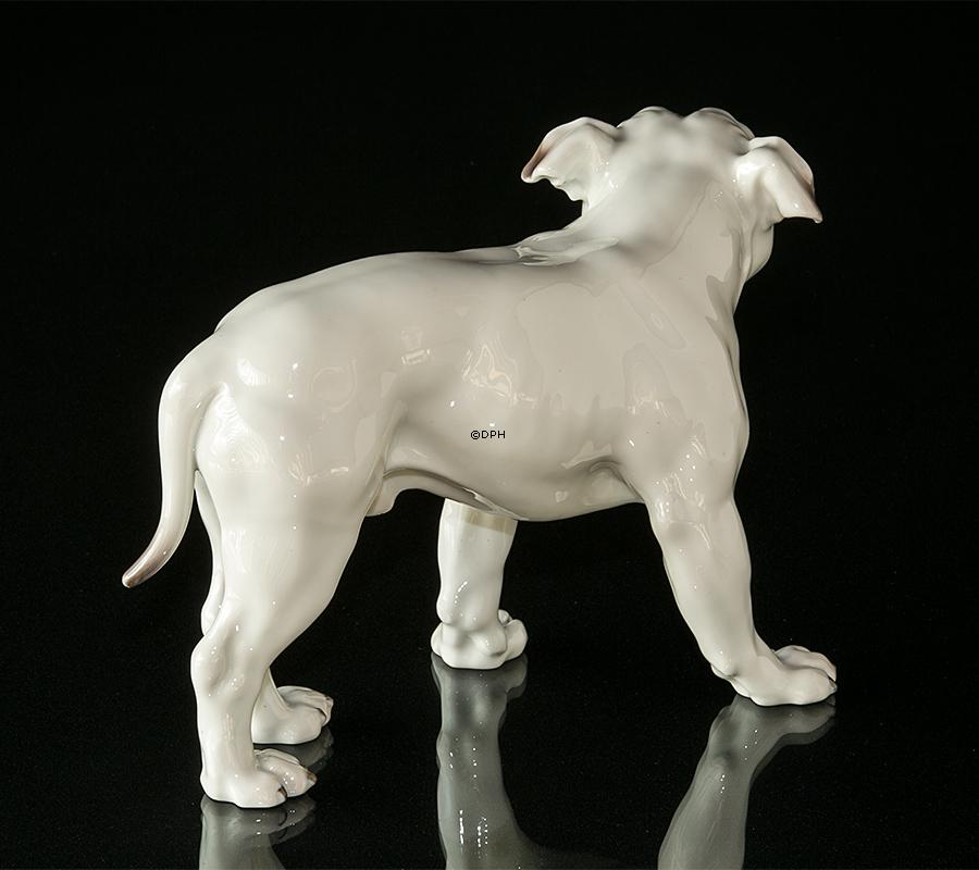 Stor hvid Bulldog, Bing & Grøndahl hundefigur nr. 1605