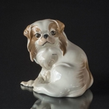Pekinese puppy sitting, Bing & Grondahl dog figurine No. 1637