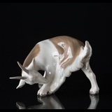 Goat licking, Bing & Grondahl figurine No. 1700