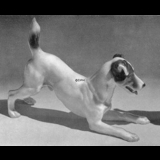 Foxterrier playing, Bing & Grondahl dog figurine No. 1723