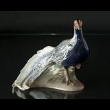 Silver pheasant, Bing & Grondahl bird figurine no. 1784