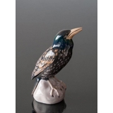 Starling looking to the sky above, Bing & Grondahl bird figurine No. 1880