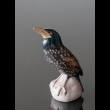 Starling looking to the sky above, Bing & Grondahl bird figurine No. 1880