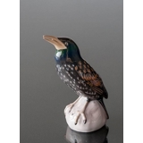 Starling looking to the sky above, Bing & Grondahl bird figurine No. 1880