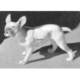 French Bulldog, Bing & Grondahl dog figurine no. 1893
