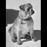 Siddende Mops, Bing & Grøndah hunde figur nr. 1895