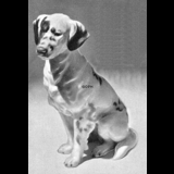 Engelsk Setter, Bing & Grøndahl hunde figur nr. 1904