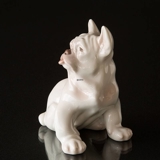 Bulldoggenwelpe, der träg zur Seite schaut, Bing & Gröndahl Hundefigur Nr. 1983