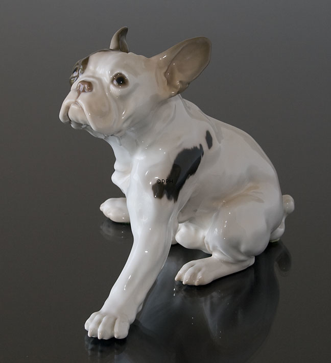 Fransk Bulldog, Bing & Grøndahl hunde figur nr. 2000