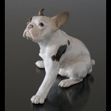 Fransk Bulldog, Bing & Grøndahl hunde figur nr. 2000