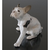 Französische Bulldogge, Bing & Gröndahl Hund Figur Nr. 2000