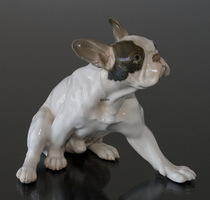 Fransk Bulldog, Bing & Grøndahl hunde figur nr. 2000