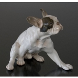 Fransk Bulldog, Bing & Grøndahl hunde figur nr. 2000