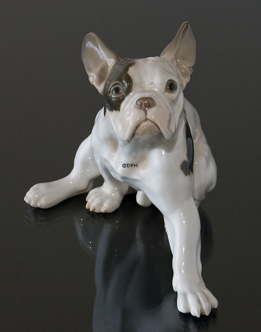 Fransk Bulldog, Bing & Grøndahl hunde figur nr. 2000