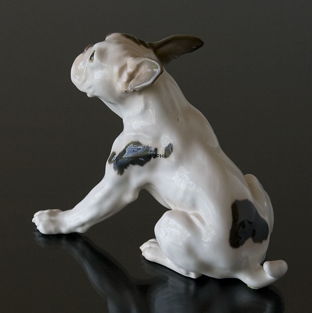 Fransk Bulldog, Bing & Grøndahl hunde figur nr. 2000