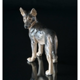 German Shepherd standing, Bing & Grondahl dog figurine no. 2018