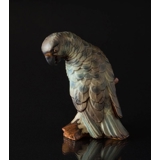 Papagei schaut zur Seite, Bing & Gröndahl Steingut Vogelfigur Nr. 2019