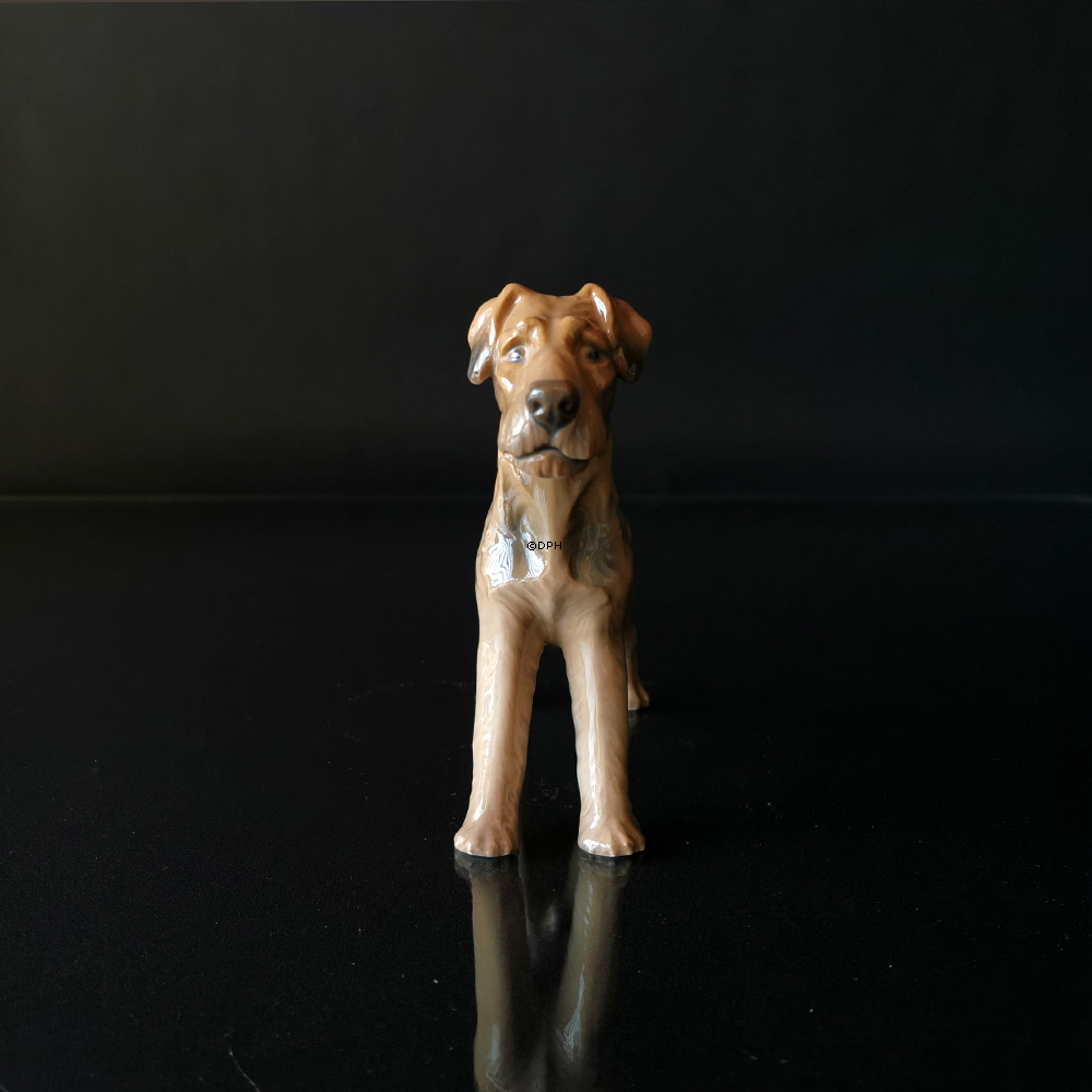 Terrier, Bing & Grøndahl hundefigur nr. 2030