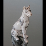 Great Dane, Sitting at attention, Bing & Grondahl dog figurine No. 2038