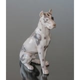 Stor hundefigur - Siddende Grand Danois, Bing & Grøndahl hundefigur nr. 2038