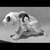 Pointer puppy scratching its side, Bing & Grondahl dog figurine no. 2060