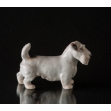 Sealyham Terrier, Bing & Grøndahl hunde figur nr. 2071