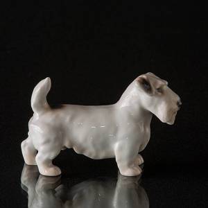 Sealyham Terrier, Bing & Grøndahl hunde figur | Nr. B2071 | DPH Trading