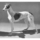 Stående Greyhound, 20cm, Bing & Grøndahl hundefigur nr. 2076