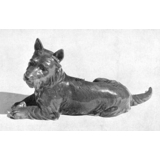 Scottish Terrier lying down, Bing & Grondahl dog figurine no. 2077