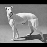 Stående Greyhound, Bing & Grøndahl hundefigur nr. 2078