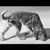Bloodhound, sniffing, Bing & Grondahl dog figurine no. 2084