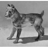 Schnauzer, 18cm, Bing & Grondahl dog figurine no. 2091