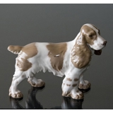 Springer Spaniel steht aufmerksam, Bing & Gröndahl Hund Figur Nr. 2095