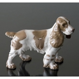 Springer spaniel standing at attention, Bing & Grondahl dog figurine No. 2095