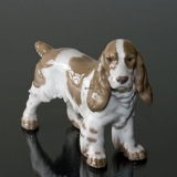 Springer Spaniel steht aufmerksam, Bing & Gröndahl Hund Figur Nr. 2095